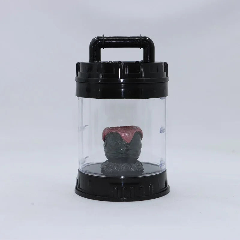 Clear container with a black lid holding a small object on a white background