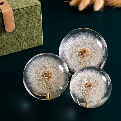 Dandelion Specimen Sphere
