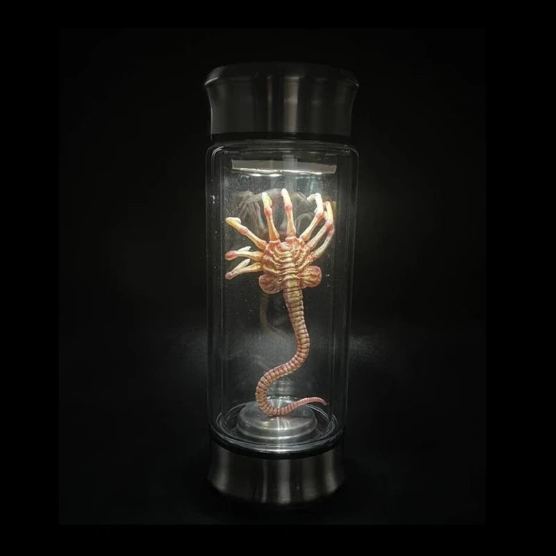 Glass container with a preserved spider-like creature on a black background