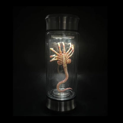 Glass container with a preserved spider-like creature on a black background