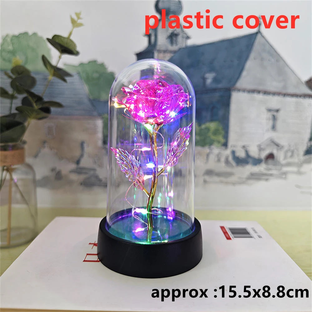 Galaxy Rose LED Dome