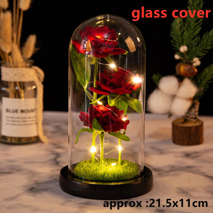 Galaxy Rose LED Dome