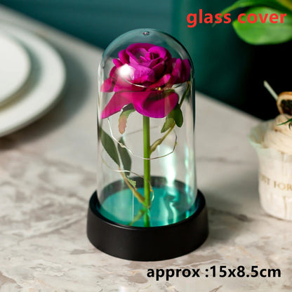 Galaxy Rose LED Dome