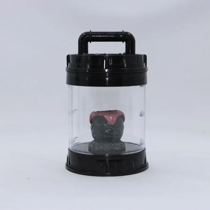 Clear container with a black lid holding a small object on a white background
