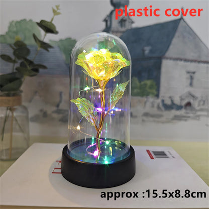 Galaxy Rose LED Dome