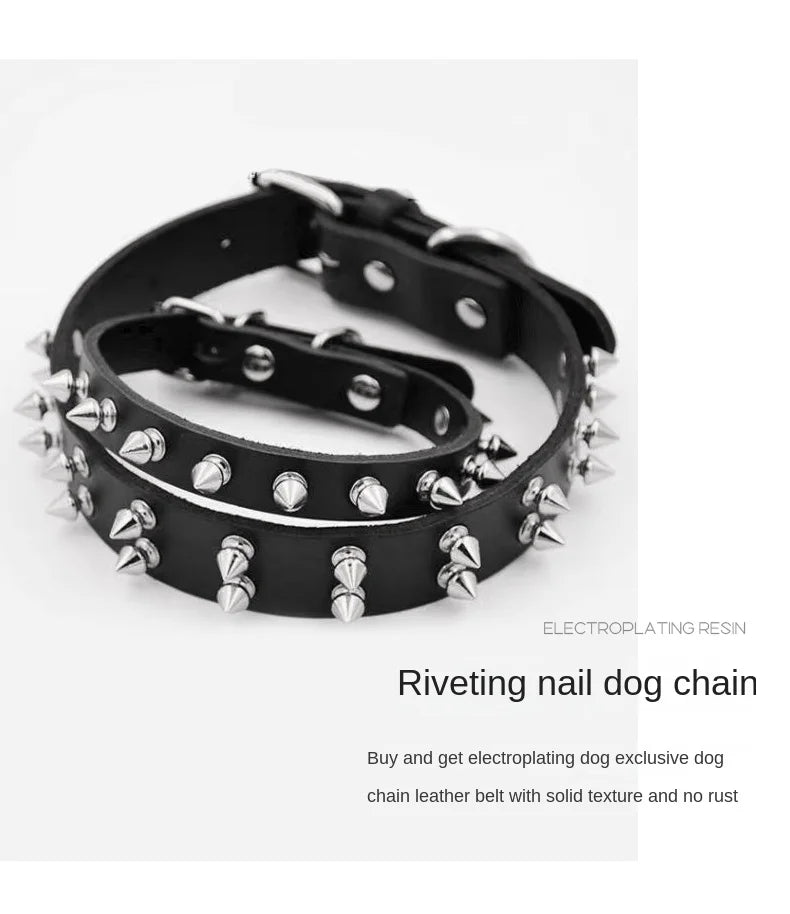 Black dog collar with silver rivets on a white background