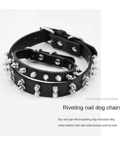 Black dog collar with silver rivets on a white background