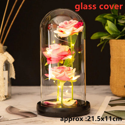Galaxy Rose LED Dome