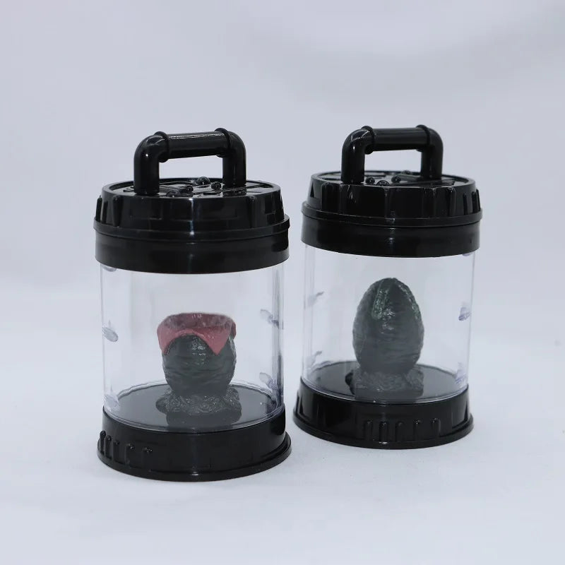 Two transparent containers with black lids holding small plants on a white background