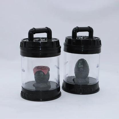 Two transparent containers with black lids holding small plants on a white background