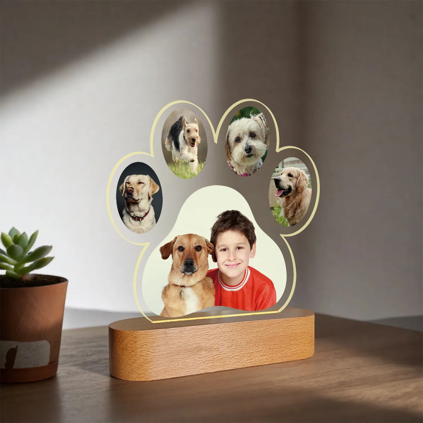 Paw-shaped photo display with a boy and dogs on a wooden base, next to a plant.
