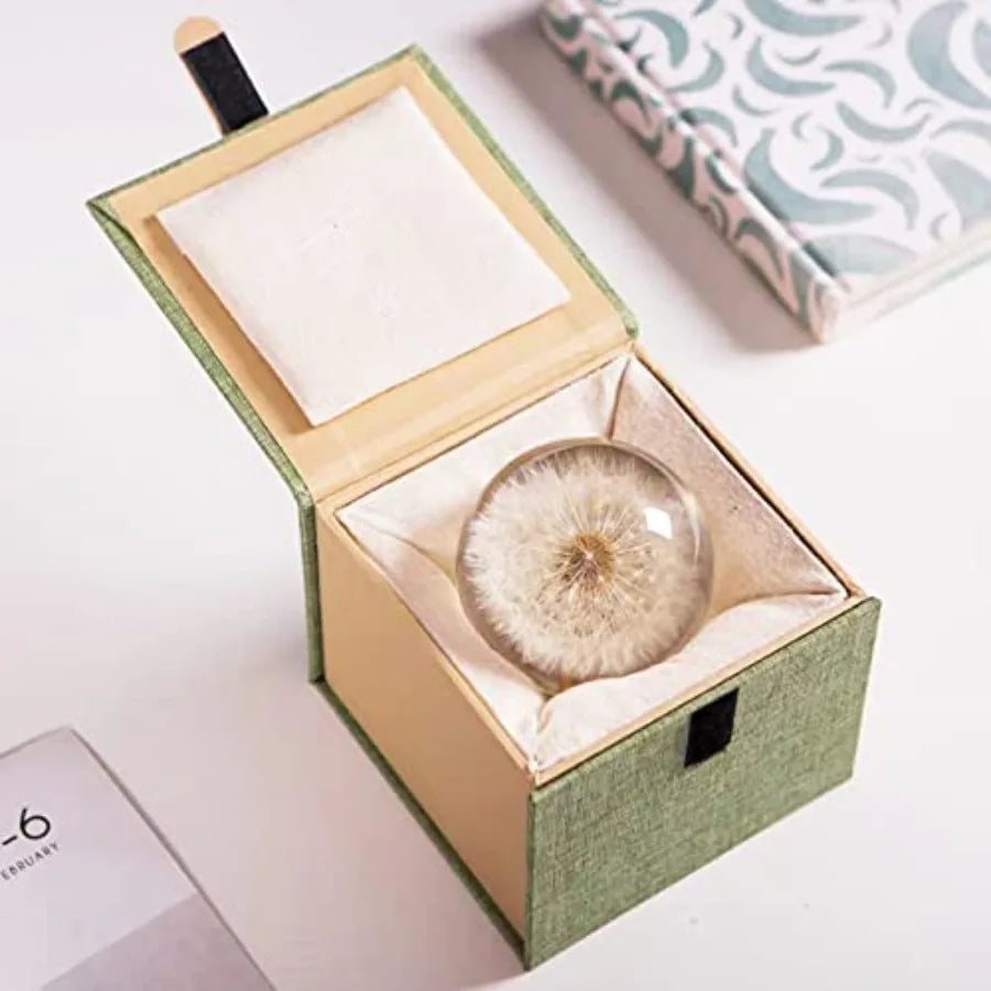 DESHINTKE Real Dandelion Specimen Ball Paperweight Desktop Decor Decoration