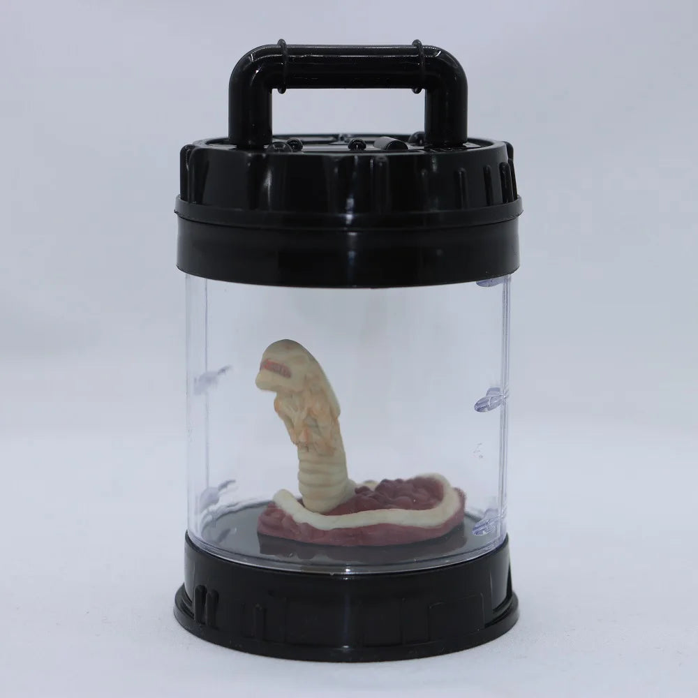 Model of a human digestive system in a transparent container with black lid on a white background