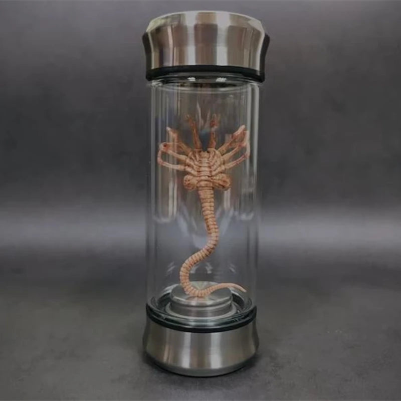 Clear glass bottle with a metallic lid containing a preserved spider-like creature on a gray background