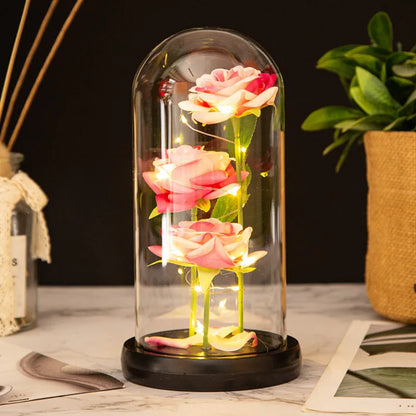 Galaxy Rose LED Dome