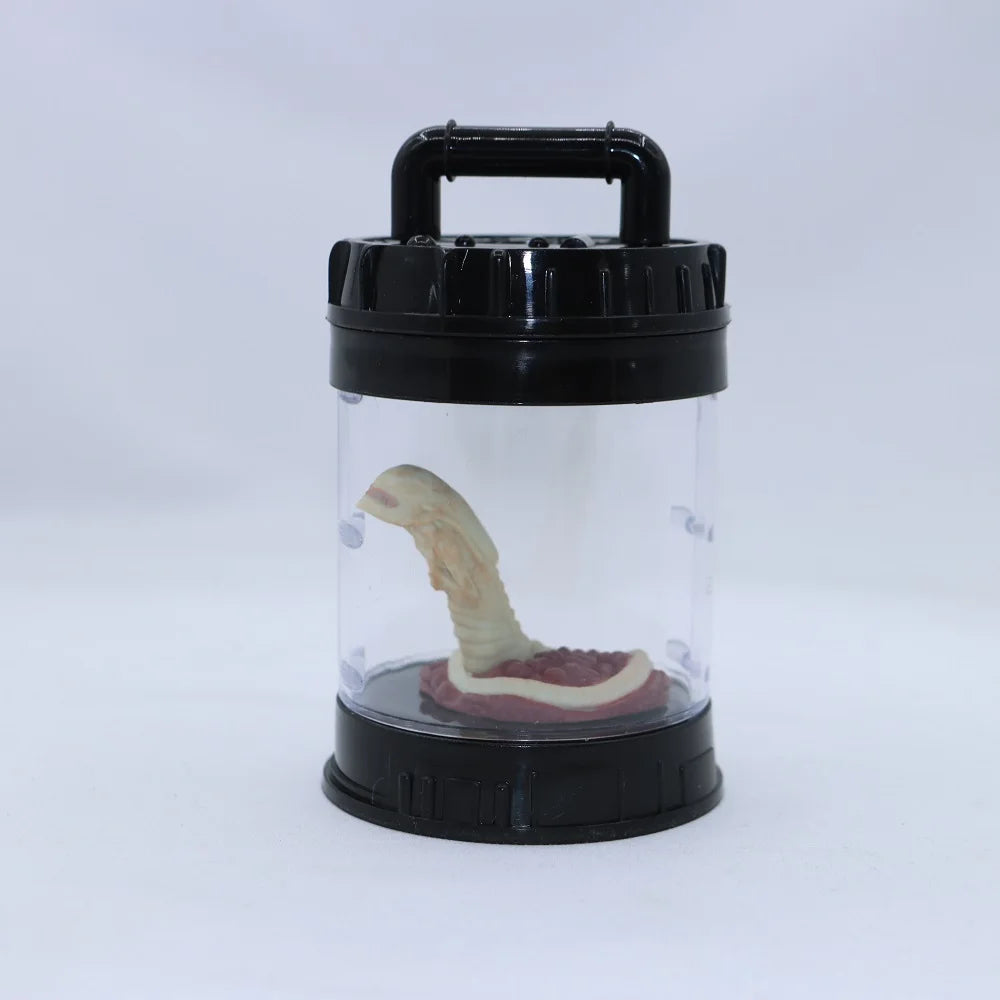 Clear container with a black lid holding a model of a dinosaur skeleton on a white background