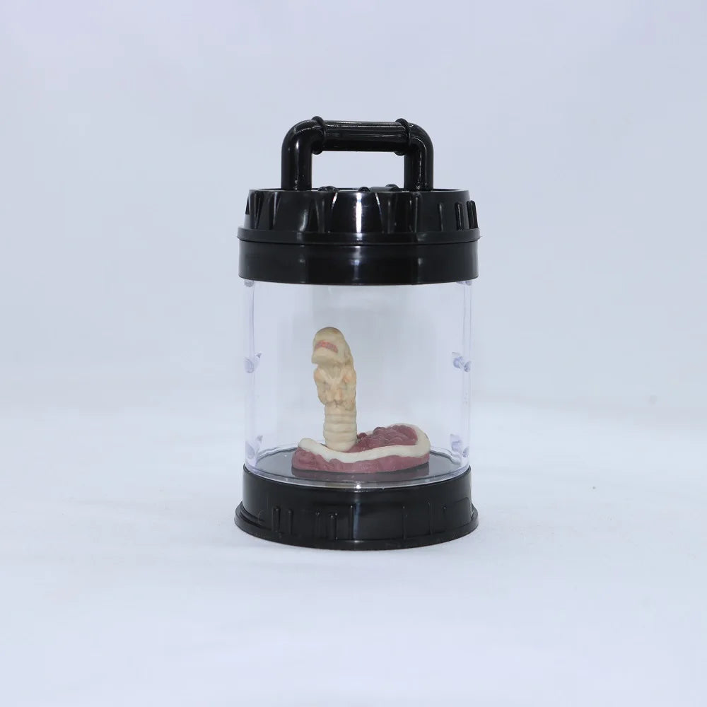 Clear container with black lid and handle, containing a model of a human digestive system on a white background