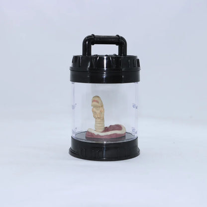Clear container with black lid and handle, containing a model of a human digestive system on a white background